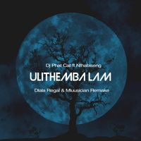 Dj Phat Cat - Ulithemba lam (Remake)