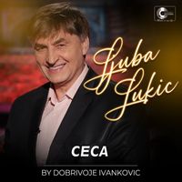 Ljuba Lukic - Ceca (Live)