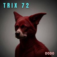 dodo - TRIX 72