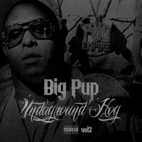 Big Pup - Undaground Hog, Vol. 2 (Explicit)