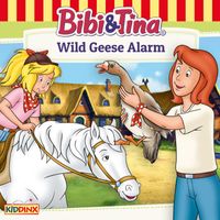 Bibi and Tina - Wild Geese Alarm