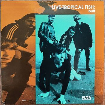 Live Tropical Fish - Butt