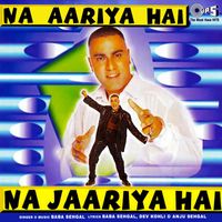 Baba Sehgal - Na Aariya Hai Na Jariya Hai