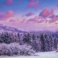 Zyma - Winter Wonderland