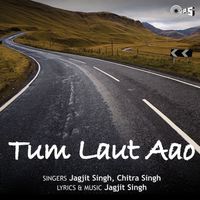 Jagjit Singh and Chitra Singh - Tum Laut Aao
