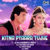 Alka Yagnik & Udit Narayan - Kitna Pyaara Tujhe Rabne Banaya (Lofi Mix)