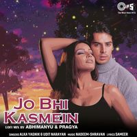 Alka Yagnik & Udit Narayan - Jo Bhi Kasmein (Lofi Mix)