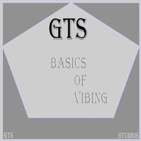 GTS - Basics of Vibing