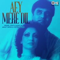 Jagjit Singh and Chitra Singh - Aey Mere Dil