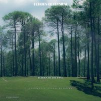 Mood Musings by Pianist Denn - Echoes of the Past: Cinematic Piano Memoirs