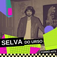 Forró Hits and Hits Do Brasil - Selva do Urso