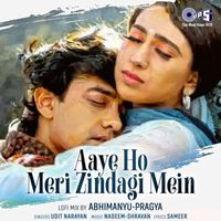 Udit Narayan - Aaye Ho Meri Zindagi Mein (Male) (Lofi Mix)