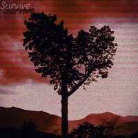 Sebastian - Survive (Explicit)
