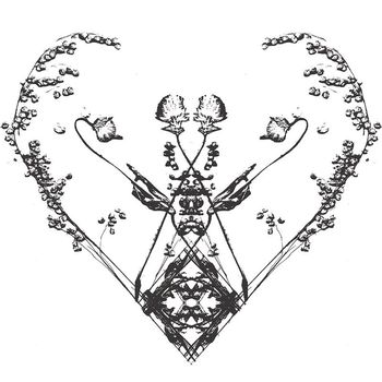 Carrier - Different Skin