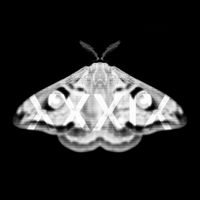 Martyn Hare - Emetic XXXIX