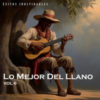 Various Artists - Lo Mejor Del Llano Vol 6