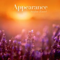 Stefan Zintel - Appearance