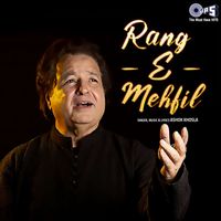 Ashok Khosla - Rang - E - Mehfil