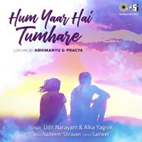 Udit Narayan & Alka Yagnik - Hum Yaar Hai Tumhare (Lofi Mix)