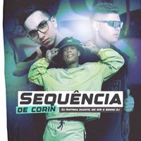 DJ Rafinha Duarte, Mc Gw and Senno DJ - Sequência de Corin (Explicit)