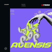 Avensis - Lollipop