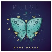 Andy McKee - Pulse