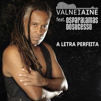 Valnei Ainê featuring Os Paralamas do Sucesso - A Letra Perfeita