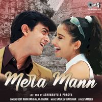 Udit Narayan & Alka Yagnik - Mera Mann (Lofi Mix)