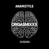 AnAmStyle - Shaking