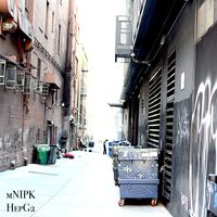 mNIPK - HepG2