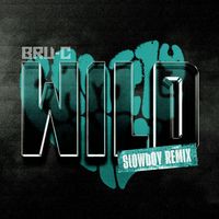 Bru-C - Wild (Slowboy Remix)