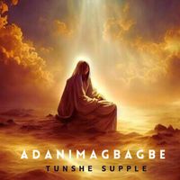 Tunshe Supple - Adanimagbagbe