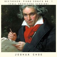 Joshua Choe - Beethoven: Piano Sonata No. 1 (Full Orchestra Version)