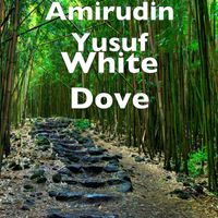 Amirudin Yusuf - White Dove