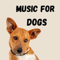 Calm Pets Music Academy, Relaxing Puppy Music, Music For Dogs, Music For Dogs Peace - Music For Dogs (Vol.146)