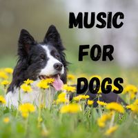 Music For Dogs, Music For Dogs Peace, Relaxing Puppy Music, Calm Pets Music Academy - Music For Dogs (Vol.148)
