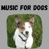 Music For Dogs, Music For Dogs Peace, Relaxing Puppy Music, Calm Pets Music Academy - Music For Dogs (Vol.149)