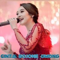 Difarina Indra - Cinta Bojone Uwong