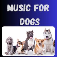 Music For Dogs Peace, Music For Dogs, Relaxing Puppy Music, Calm Pets Music Academy - Music For Dogs (Vol.150)