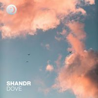 shandr - Dove