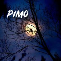 PiMO - Haunted in the Night