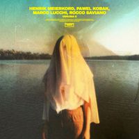 Henrik Meierkord - Venusia II