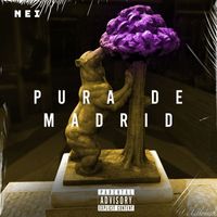 NEI - Pura de Madrid