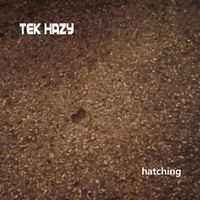 Tek Hazy - Hatching
