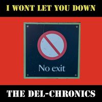 The Del-Chronics - I Wont Let You Down
