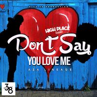 Aza Lineage - Don't Say You Love Me