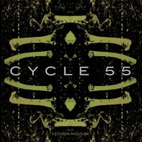 Cathode Ray Tube - CYCLE 55