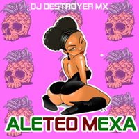 DJ DESTROYER MX - Aleteo mexa (remezcla [Explicit])