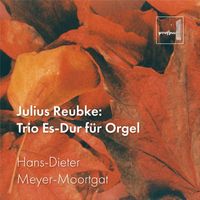 Hans-Dieter Meyer Moortgat - Reubke: Trio Es-Dur für Orgel