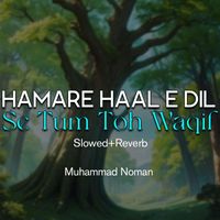 Muhammad Noman - Hamare Haal e Dil Se Tum Toh Waqif Lofi